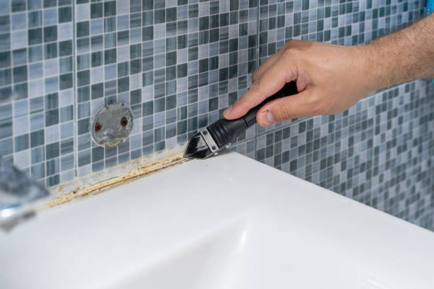 Best Best Mold Removal Companies  in Makawao, HI
