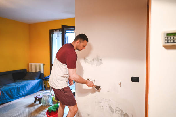 Best Attic Mold Removal  in Makawao, HI